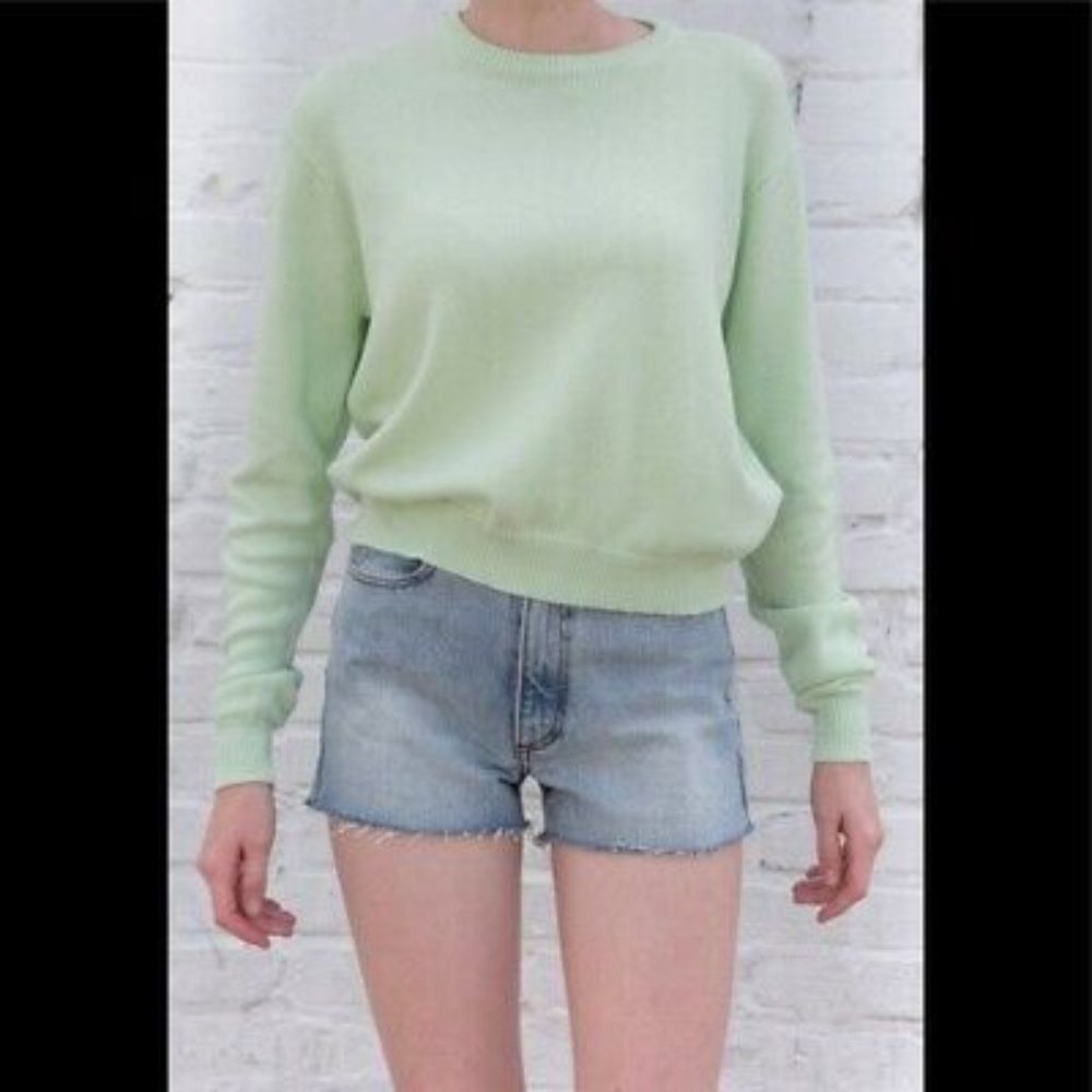 Brandy Melville pastel green jessica sweater
